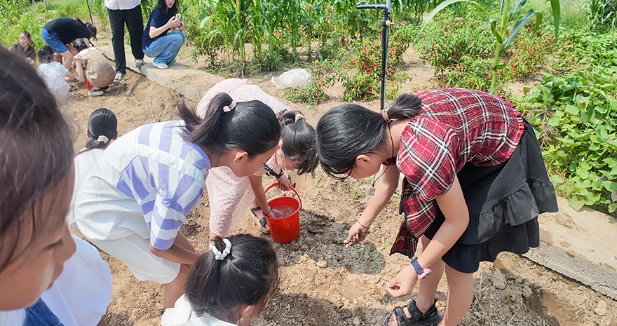 green sowing activity